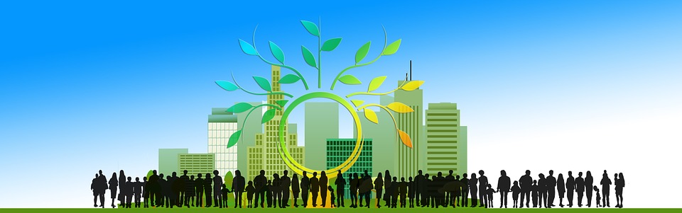 Développer la force du collectif et la co-responsabilité - Enaxion